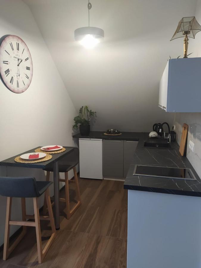 Apartament Muzyczny Jelení Hora Exteriér fotografie