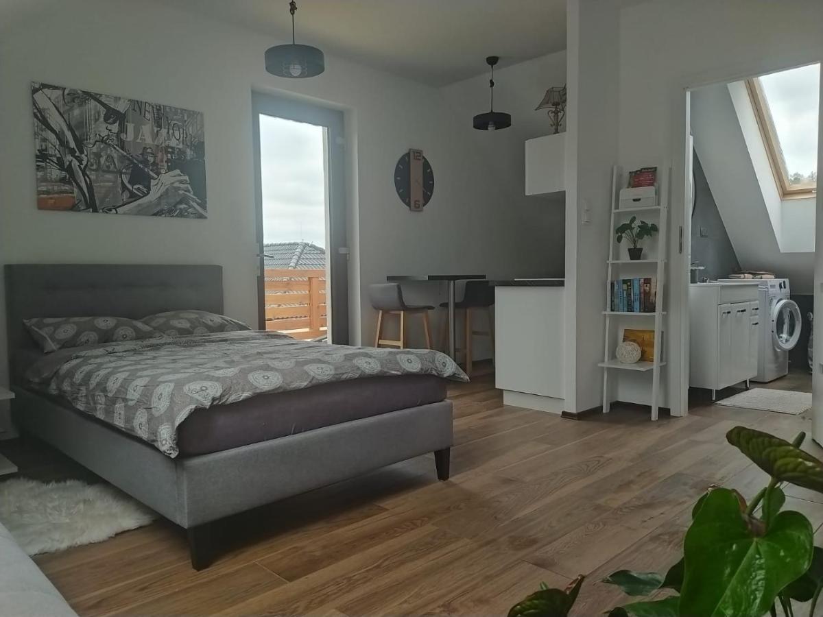 Apartament Muzyczny Jelení Hora Exteriér fotografie