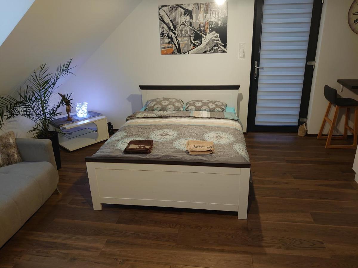 Apartament Muzyczny Jelení Hora Exteriér fotografie